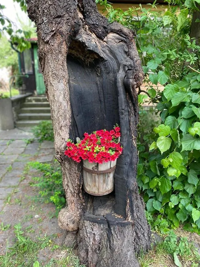 Old Summer House With Renovated Bathroom Prague
